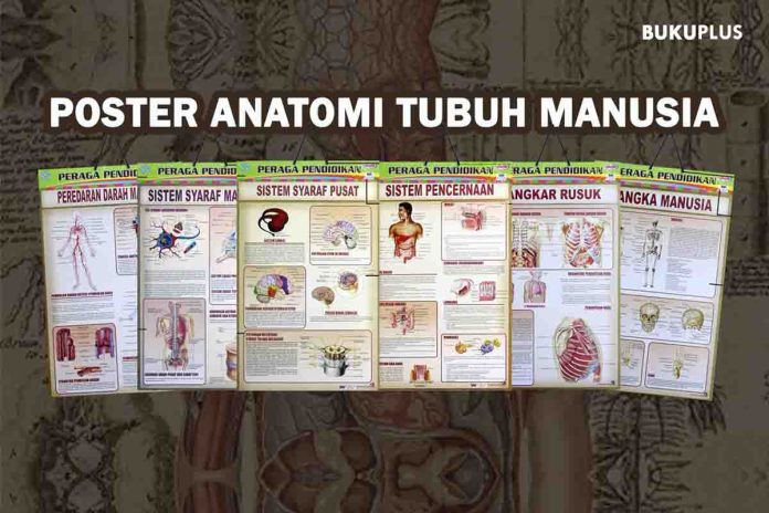 POSTER PERAGA PENDIDIKAN WEB